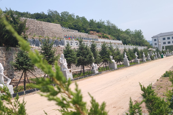沈阳墓地生态葬式安葬：环保选择，火化与否？