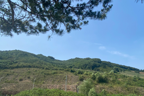 沈阳公墓扩张需遵循的五大标准